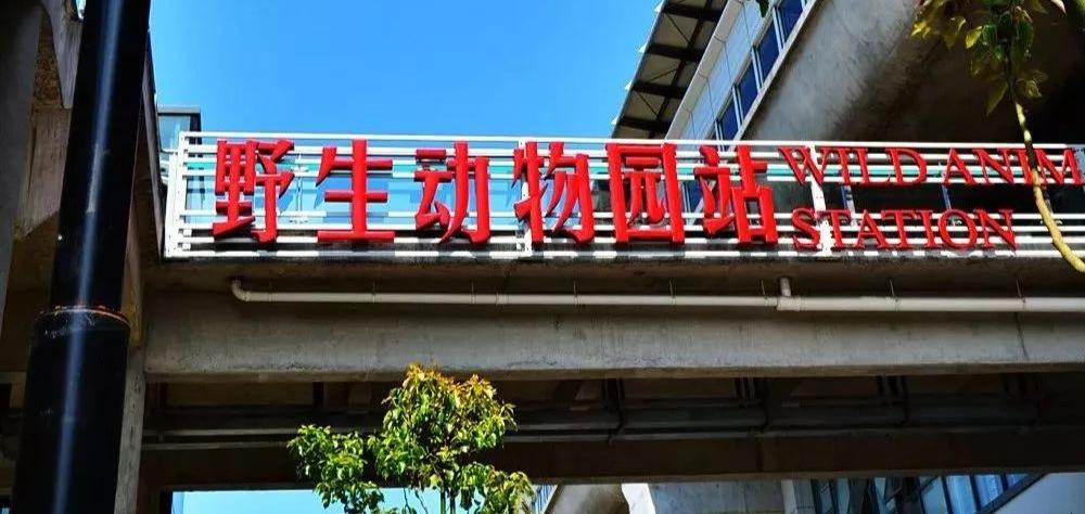 海玥瑄邸认筹启动 均价约3.5万/㎡，一房一价表全面解析