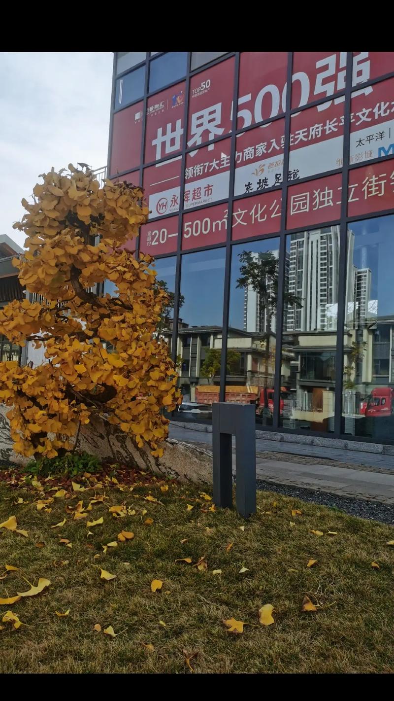 世界500引6 候超市 东 足瑄 领街7大主 商家入天府长文